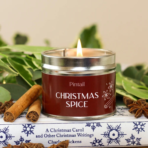 Pintail Christmas Spice scented candle for creating a warm and festive Christmas atmosphere
